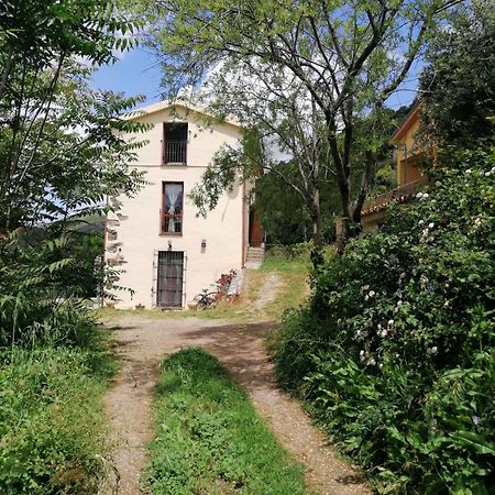 Stellaria Casa Vacanze In Montagna Panorama Stupendo Sardegna Seulo Экстерьер фото