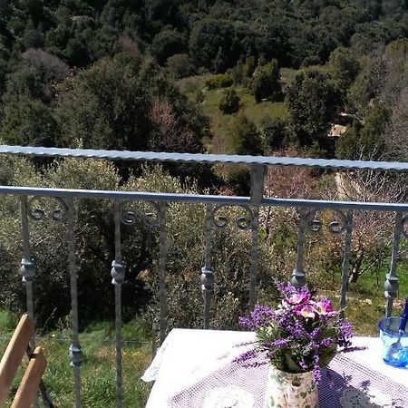 Stellaria Casa Vacanze In Montagna Panorama Stupendo Sardegna Seulo Экстерьер фото