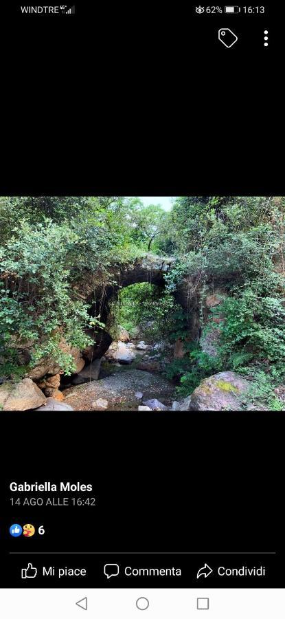 Stellaria Casa Vacanze In Montagna Panorama Stupendo Sardegna Seulo Экстерьер фото