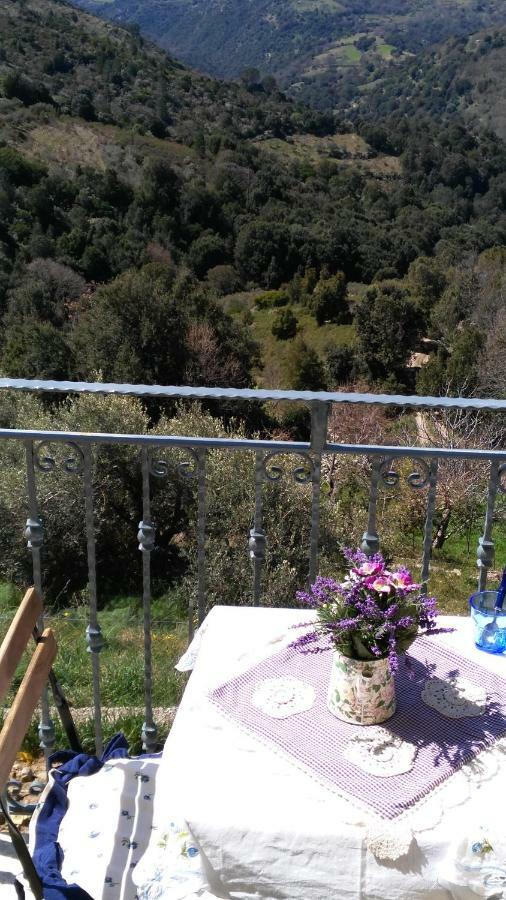 Stellaria Casa Vacanze In Montagna Panorama Stupendo Sardegna Seulo Экстерьер фото
