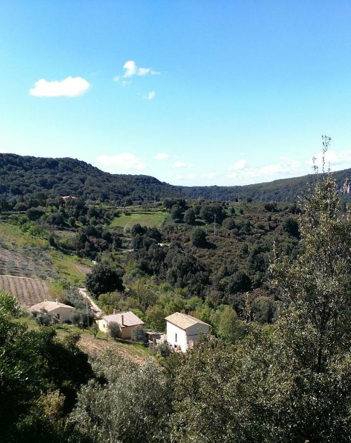 Stellaria Casa Vacanze In Montagna Panorama Stupendo Sardegna Seulo Экстерьер фото