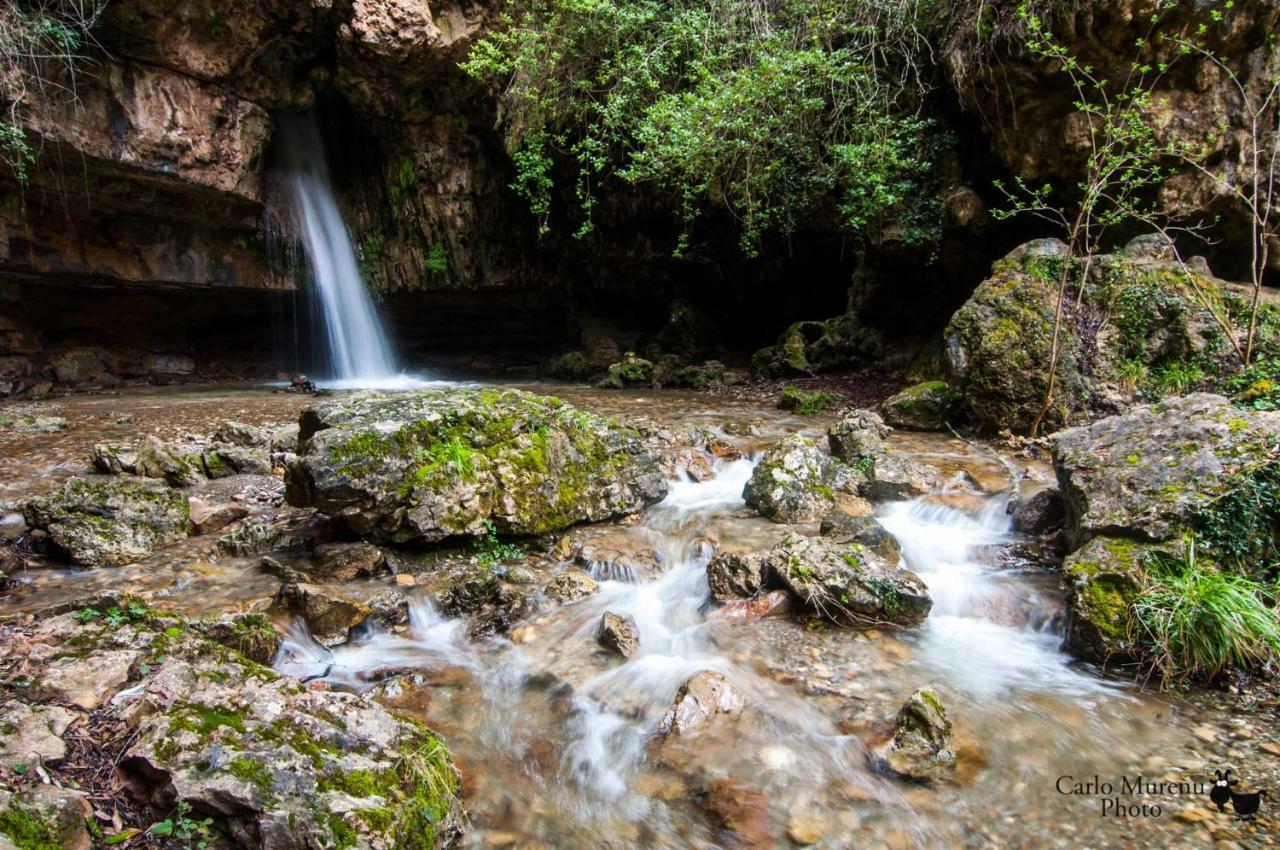 Stellaria Casa Vacanze In Montagna Panorama Stupendo Sardegna Seulo Экстерьер фото