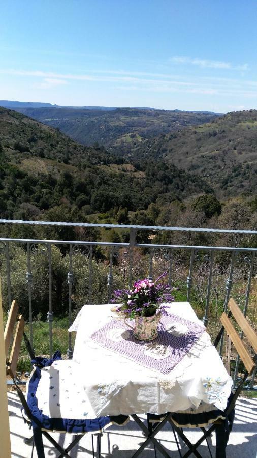 Stellaria Casa Vacanze In Montagna Panorama Stupendo Sardegna Seulo Экстерьер фото