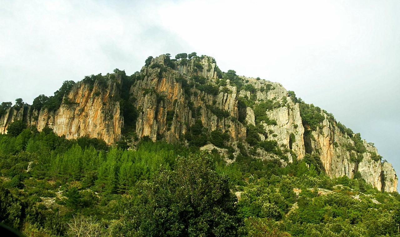 Stellaria Casa Vacanze In Montagna Panorama Stupendo Sardegna Seulo Экстерьер фото